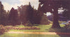 HOLLAND. The Palace Gardens, Het Loo 1916 old antique vintage print picture
