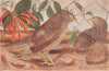 BIRDS OF INDIA. Bengal Jungle-Babbler Seven Sisters (Turdoides terricolor) 1924