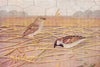 BIRDS OF INDIA. Indian House-Sparrow (Passer domesticus Indicus) 1924 print