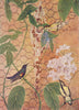 BIRDS OF INDIA. Purple Sun-Bird Honey-Sucker (Cyrtostomus asiaticus) 1924