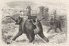 INDIA. Tiger-hunting with Elephants c1880 old antique vintage print picture
