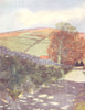 YORKS. The Cleveland Hills. A Golden afternoon 1908 antique print picture