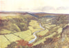 YORKS. Swaledale in the Early Autumn 1908 old antique vintage print picture