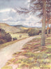 YORKS. Wensleydale. from Leyburn Shawl 1908 old antique vintage print picture