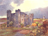 YORKS. New Hall, Pontefract 1908 old antique vintage print picture
