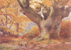 KENT. The Wilberforce Oak, Holwood Park, Keston 1907 old antique print picture