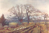 CANADA. Early Spring, near Victoria, British Columbia 1907 old antique print