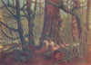 CANADA. Big Spruce in Stanley Park 1907 old antique vintage print picture
