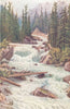 CANADA. Falls, Illecillewaet river, Selkirk Mountains, British Columbia 1907