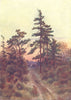 CANADA. Road near Victoria(Evening) 1907 old antique vintage print picture