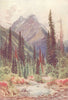 CANADA. Ross Peak, Selkirk Mountains, British Columbia 1907 old antique print
