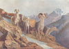 CANADA. British Columbia. Fanning sheep coming down to feed 1907 old print