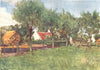 BELGIUM. A Farmsteading 1908 old antique vintage print picture