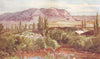 ISRAEL. The Mount of temptation from Jericho 1902 old antique print picture