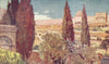 JERUSALEM. The cypresses of the garden of Gethsemane 1902 old antique print