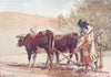ISRAEL. Ploughing on the Mount of Olives 1902 old antique print picture