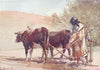 ISRAEL. Ploughing on the Mount of Olives 1902 old antique print picture
