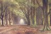 The Beech Avenue, Thoresby, the Dukeries. Nottinghamshire.Ernest Haslehust 1920