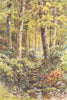 Fairlight Glen. Sussex. By Ernest Haslehust 1920 old antique print picture
