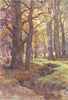 In Mallard Wood, the New Forest. Hampshire. By Ernest Haslehust 1920 old print