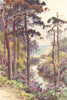 Branksome Chine, Bournemouth. Dorset. By Ernest Haslehust 1920 old print