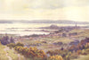 Poole Harbour from Constitutional Hill. Dorset. By Ernest Haslehust 1920 print