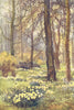 The wilderness in spring, Hampton Court. London. By Ernest Haslehust 1920