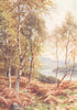 SCOTLAND. Birches by Loch Achray 1911 old antique vintage print picture