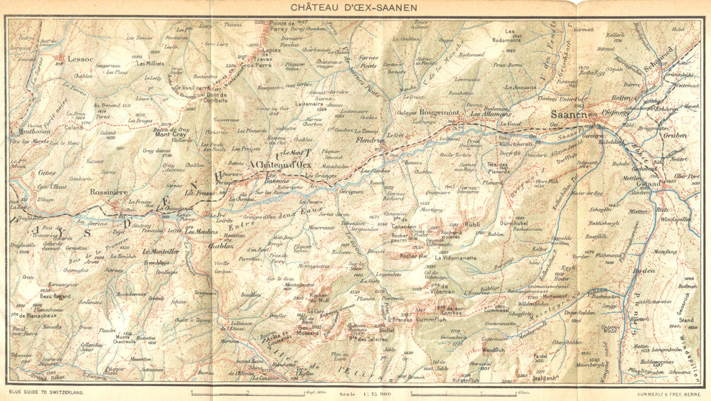 SWITZERLAND. Chateau D'oex-Saanen 1930 old vintage map plan chart