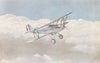 AIRCRAFT. Hawker Hornet interceptor fighter 1930 old vintage print picture