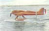 AIRCRAFT. Gloster Napier VI racing seaplane, moored out 1930 old vintage print