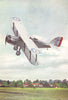 AIRCRAFT. Westland Wapiti general purpose aeroplane 1930 old vintage print
