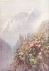 KASHMIR. Wild Rhododendrons 1924 old antique vintage print picture