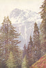 KASHMIR. Kotwal from the forest above Kangan, Sindh Valley 1924 old print