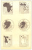 Known & unknown regions in 1800 & 1900. Africa. Arctic North America 1907 map