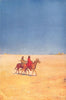 USA. The American desert 1907 old antique vintage print picture