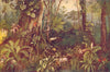 LANDSCAPES. A Tropical Forest 1907 old antique vintage print picture