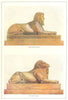 EGYPT. Androsphinx; Criosphinx 1907 old antique vintage print picture