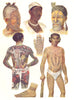 TATTOOS. Sudan; Maori New Zealand; Caroline Islands; Dyak Borneo; Japan 1907