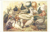 PIGEONS. Bluerock Curly Ruff Tumbler Nun Almond Bearded Jacobin Turbit 1907