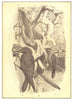 BIRDS. Raven Tribe; 1 Jackdaw; 2 Magpie; 3; 4 Rook; 5 Gray Crow 1907 old print