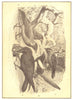 BIRDS. Raven Tribe; 1 Jackdaw; 2 Magpie; 3; 4 Rook; 5 Gray Crow 1907 old print
