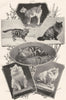 CATS. 1 Manx; 2 Brown tabby; 3 Smoke Persian; 4 Silver; 5 White; 6 Shaded 1907