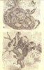 SNAKES. Boas; 1. Boa Constrictor; 2. Dog-Headed(Xiphosoma Caninum) 1907 print