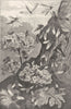 ANIMALS. Representative Flies 1907 old antique vintage print picture