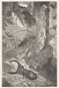ANIMALS. Coleoptera 1907 old antique vintage print picture