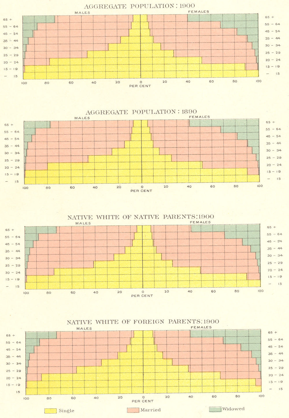 USA. Conjugal marital status demographics, 1890-1900 1900 old antique map