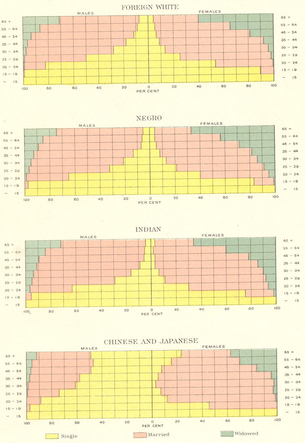 USA. Conjugal demographics. Foreign White Negro Indian Chinese Japan 1900 map