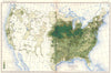 USA. Number of Swine / sq mile at 12th census  1900 old antique map plan chart