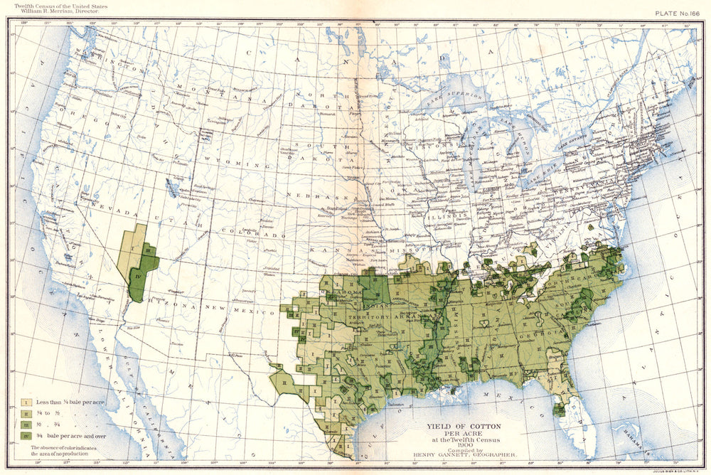 USA. Yield of cotton per acre at the twelfth census  1900 old antique map